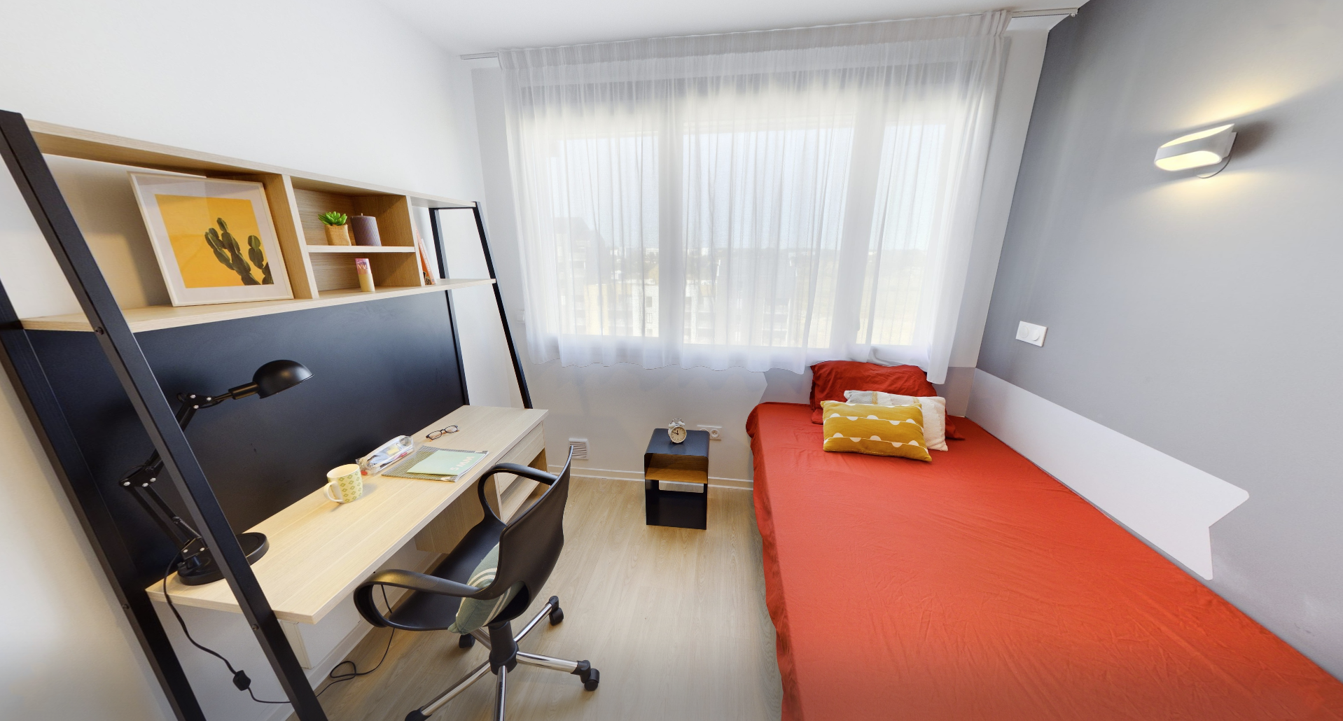 Kley Montpellier photo 16