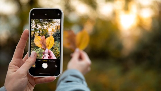 Apps para editar fotos